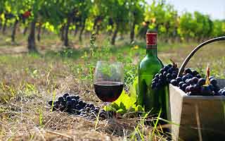 В сентябре в Арцахе пройдет четвертый ежегодный фестиваль вина