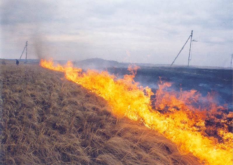 Համայնքների բնակչությունը սկսել է գիտակցել խոզանի այրման վտանգները գյուղատնտեսության համար