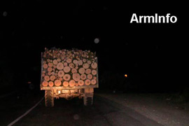 В Шикаохском заповеднике выявлены случаи незаконной рубки деревьев