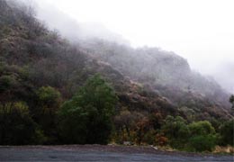 Ереван окажется во власти дождей и тумана