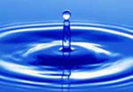 «Ջրային ռեսուրսների մասնակցային և արդյունավետ օգտագործում» ծրագրի գործընկեր համայնքները Վեդիում նշում համաշխարհային օրը»