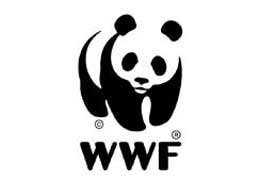 WWF-Армения успешно выпустил в природу осиротевшего медвежонка