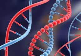 Երևանում տեղի կունենա «ԴՆԹ սեքվենավորման տեխնոլոգիաները և դրանց կիրառումը գործնականում» թեմայով գիտագործնական սեմինար