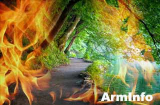 МЧС Армении сообщает о пожаре в  национальном парке "Дилижан"