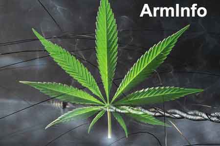 Fact of illegal drug trafficking in especially large amounts was  revealed in Armenia