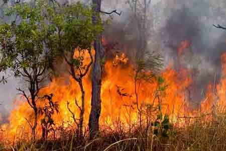 Հերթական անտառային հրդեհը Հայաստանում. այրվում է «Խուստուփ»  արգելավայրը