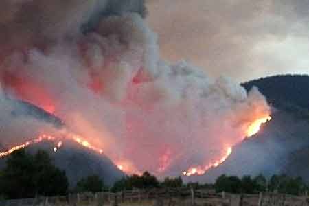 Armenia, Belarus, Azerbaijan and Turkey gave their forces to help  extinguish fire in Borjomi Gorge