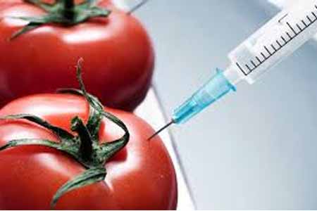 Monsanto sells its products in the Armenian market since 2006:  Armenia`s authorized structures are unaware 