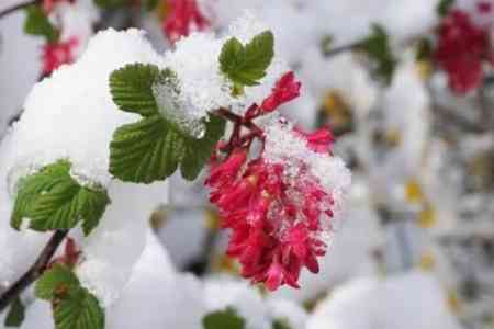 It is expected to snow in some regions of Armenia from 3 to 4 April