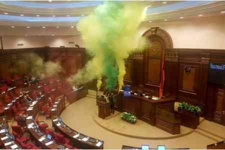 Депутаты от блока "Елк" в знак протеста властям в зале заседаний парламента зажгли дымшашку