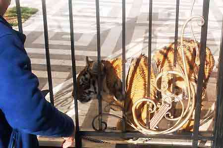 Директор СНБ Армении призвал экологов позаботиться о животных из личного зоопарка Манвела Григоряна