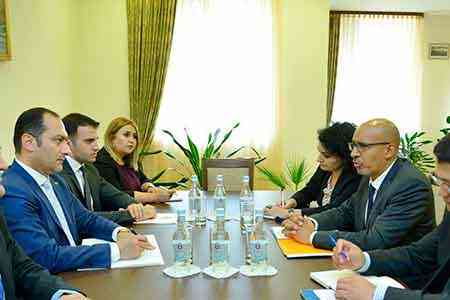 И.о. министра юстиции Армении и представитель ОБСЕ по вопросам свободы СМИ обсудили перспективы сотрудничества