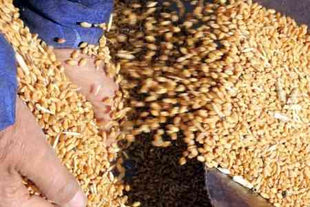 Закавказье – крупнейший импортер казахстанского зерна 