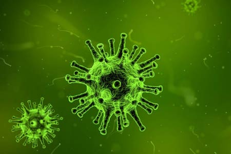 За сутки в Армении подтвердилось 22 новых случая заражения коронавирусом, выздоровело 58 человек