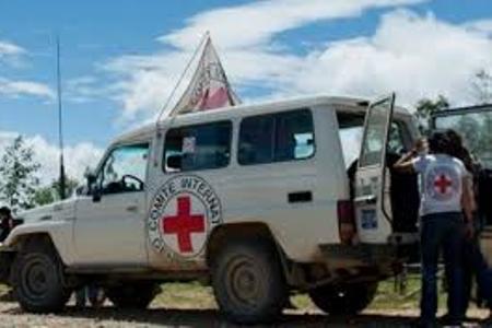 Humanitarian cargo from Russian Red Cross delivered to  Nagorno-Karabakh