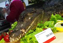 Предновогодний копченый крокодил возмутил известного кулинара