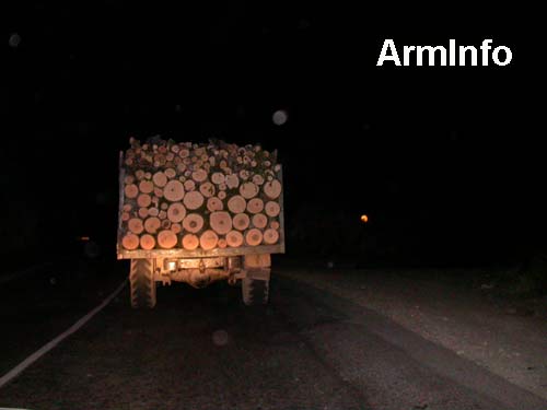 IC of Armenia: On the territory of the National Park "Dilijan" there  was a criminal group engaged in illegal tree cutting 