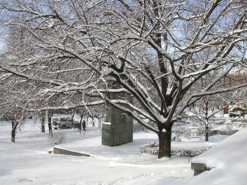 Армгирометцентр: 8-10 января в большинстве областей Армении ожидается снег