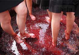 Фестиваль вина в Арени впервые растянется на 3 дня