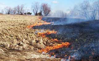 Armenian Police find out cause of fire in Khosrov reserve  