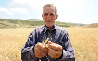 Այդ անկոտրում Կամոն