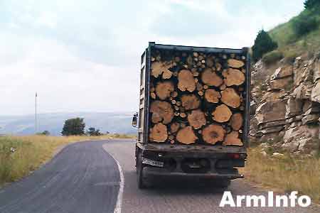 Генпрокурор против лесорубов: Прокурорам областей дано поручение республики предотвратить резню лесов