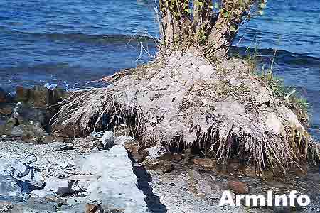 Министерство окружающей среды: В текущем году на озере Севан в Армении вновь начался процесс цветения воды