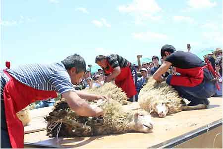 Шестой фестиваль "Стрижка овец" пройдет 10 июня в поселке Хот Сюникской области