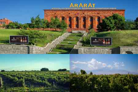 Ереванский коньячный завод начнет закуп винограда 15-го сентября