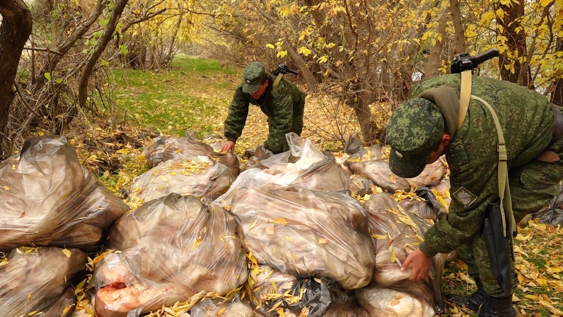 Ռուսաստանցի սահմանապահները 1700 կգ մաքսանենգ ոչխարի դմակ են հայտնաբերել հայ-թուրքական պետական սահմանի մոտ