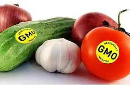 Հայաստանում GMO-ապրանքները կվաճառվեն առանձին վաճառասեղանների վրա և հատուկ մակնանշումով