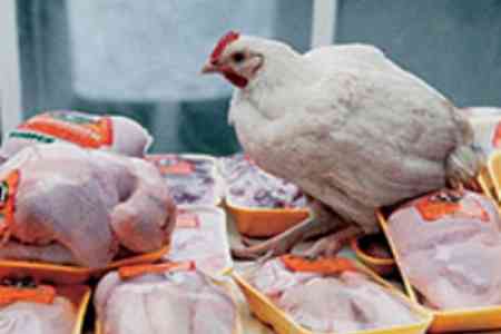 Import of 50 tons of chicken breast from Brazil was suspended