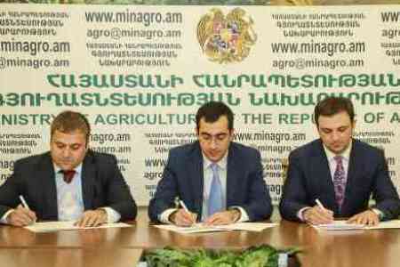Armenian Agriculture Minister: Converse Bank signed a memorandum of  cooperation on the state program of subsidizing agrocredits