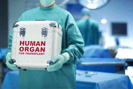 Минздрав предлагает расширить круг живых доноров для трансплантации органов и тканей