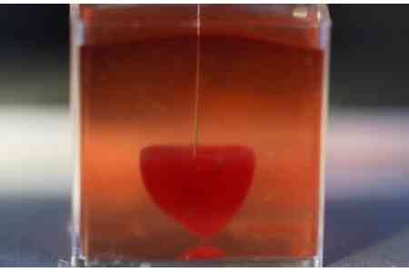 Израильские ученые впервые напечатали сердце на 3D-принтере