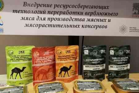 В Казахстане открылся мини-завод по производству консервов из верблюжьего мяса