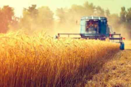 Казахстан впервые занял первое место в мире по производству льна