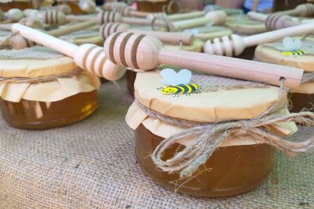 Homeland begins with Tavush: Berd hosts the 8th festival of honey and  berries