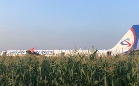 Пассажирский Airbus совершил посадку на кукурузное поле в Подмосковье
