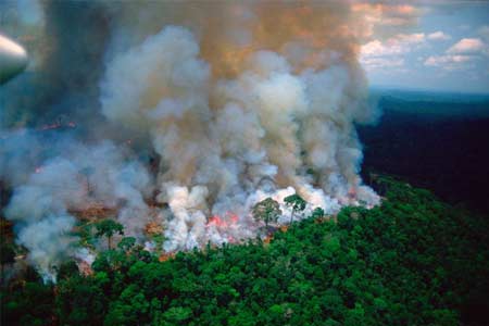 Бразилия не справляется с пожарами в Амазонии