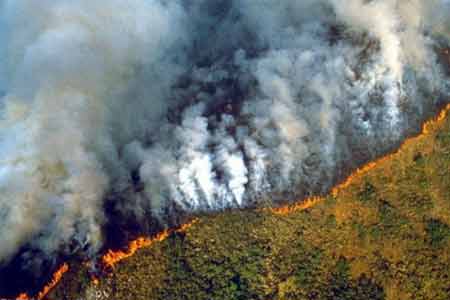 В Бразилии заявили, что откажутся от помощи G7 в борьбе с пожарами в Амазонии