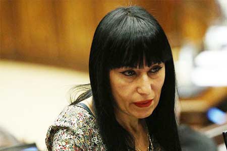 Наира Зограбян призвала суд не осуществлять политический заказ