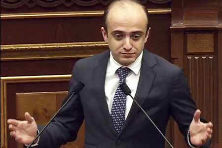 Deputy: The Government of Armenia decided to punish the defender of  human rights for good work