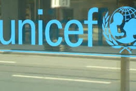 Artsakh Human Rights Defender appeals to UNICEF Executive Director