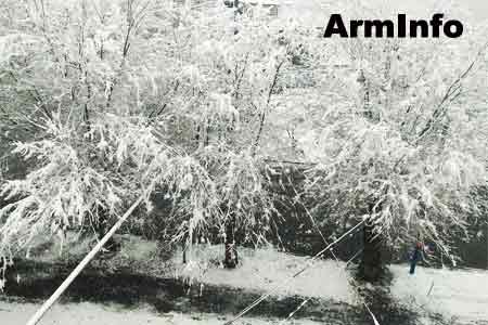 В Лорийской и Тавушской областях Армении выпал первый снег