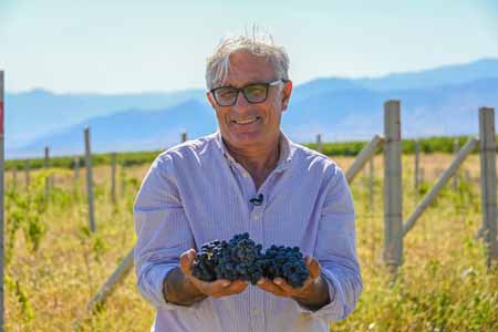 В Армении заложили самый высокогорный органический виноградник в мире (Видео)