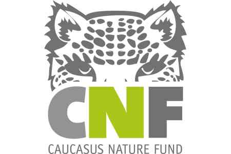 Фонд природы Кавказа в 2023 году вложил более 1 млн евро в проекты по защите природы Армении