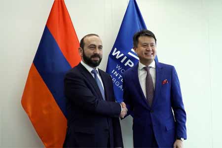 Глава МИД Армении и гендиректор ВОИС на встрече в Женеве обсудили перспективы расширения двустороннего сотрудничества