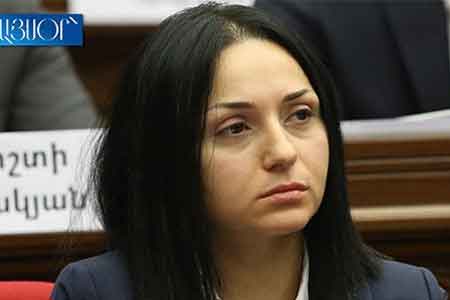 Armenia`s police victim of trolling - MP