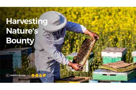 Америабанк и КОАФ объединяют усилия с целью содействия развитию пчеловодства в Лорийской области